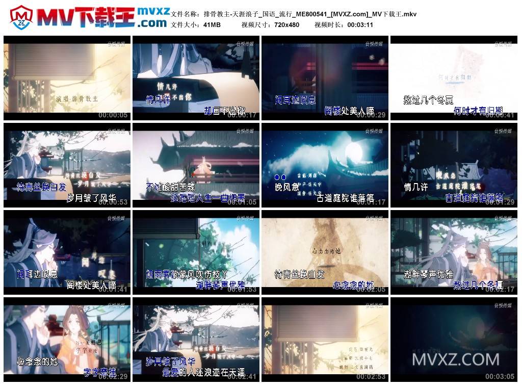 排骨教主-天涯浪子_国语_流行_ME800541